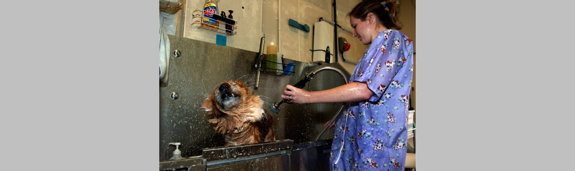 Ambassador Veterinary Hospital Pet Hospital in Hudson County NJ